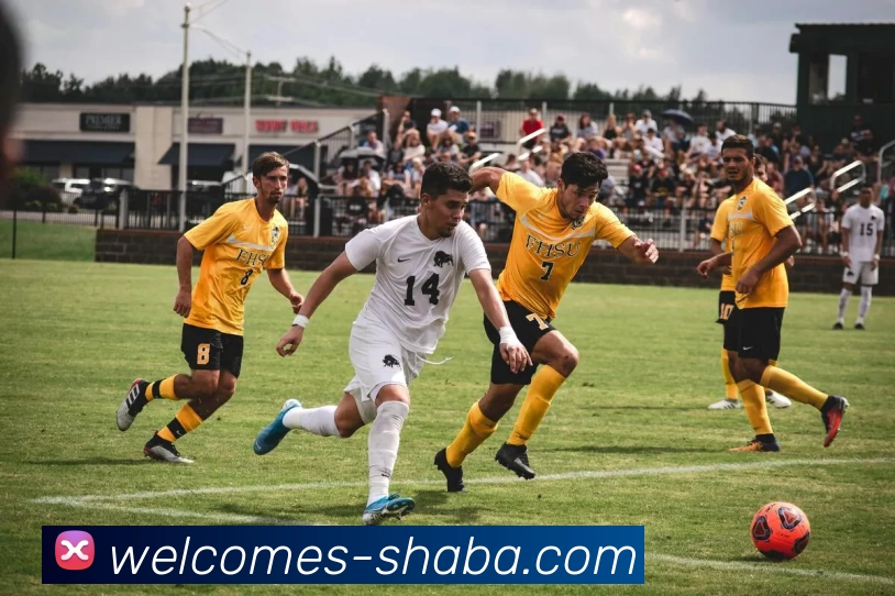 沙巴官方网站服务体系